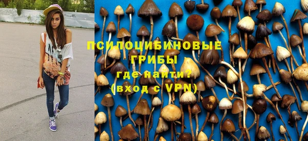 хмурый Костерёво