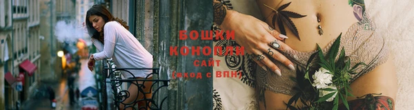 каннабис Корсаков
