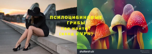 каннабис Корсаков