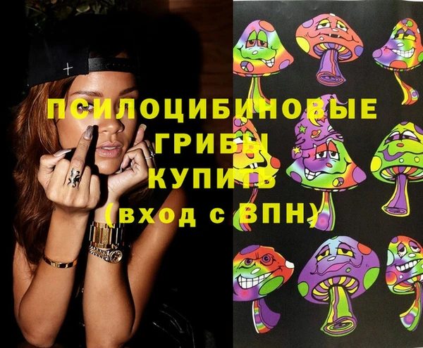 хмурый Костерёво