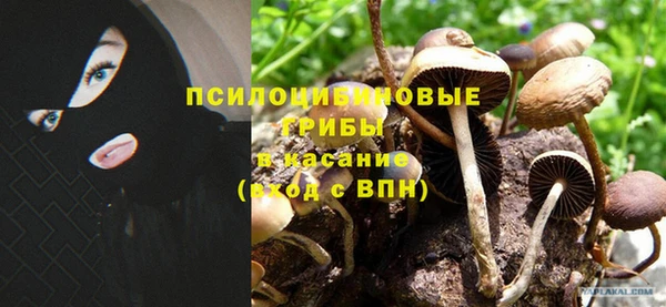 хмурый Коряжма