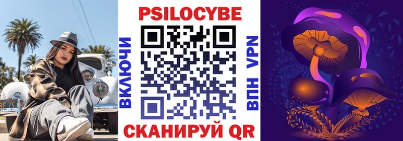 Галлюциногенные грибы Psilocybine cubensis  Норильск 