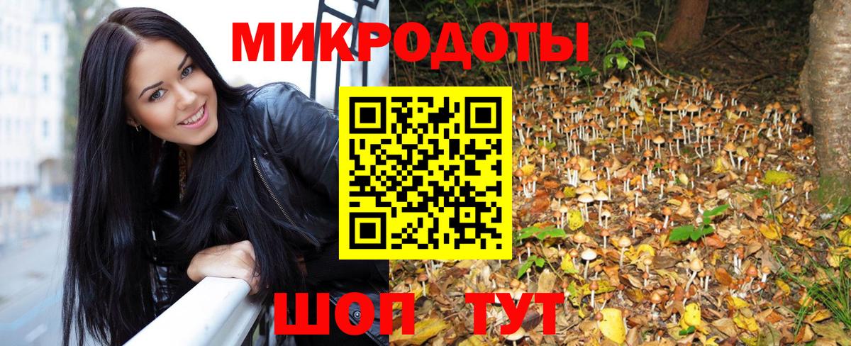 цена наркотик  Вход с VPN  Норильск  Псилоцибиновые грибы Psilocybine cubensis 
