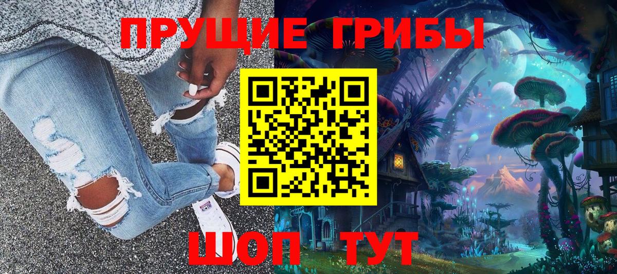 Псилоцибиновые грибы Psilocybe Норильск